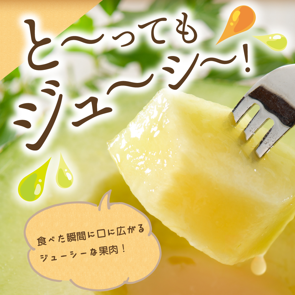 【2026年先行予約】メロン 約 5kg 秀～優  ( 青肉 3～6玉 ）【2026年7月後半発送】【 津軽産 青森 緑肉 青肉メロン 】