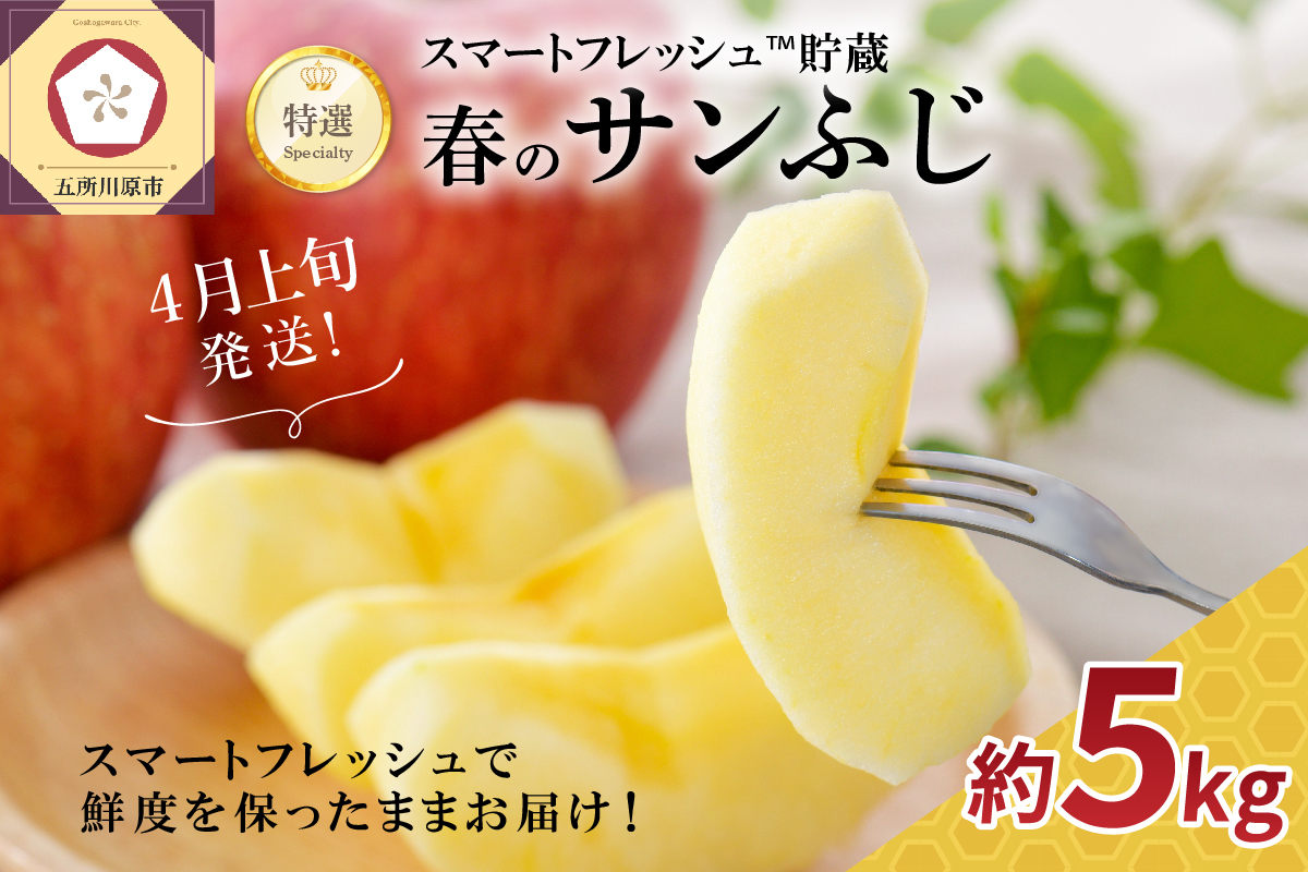 【2026年4月上旬発送】春のサンふじ りんご 約5kg 【特選】 スマートフレッシュTM貯蔵 贈答用 青森県産