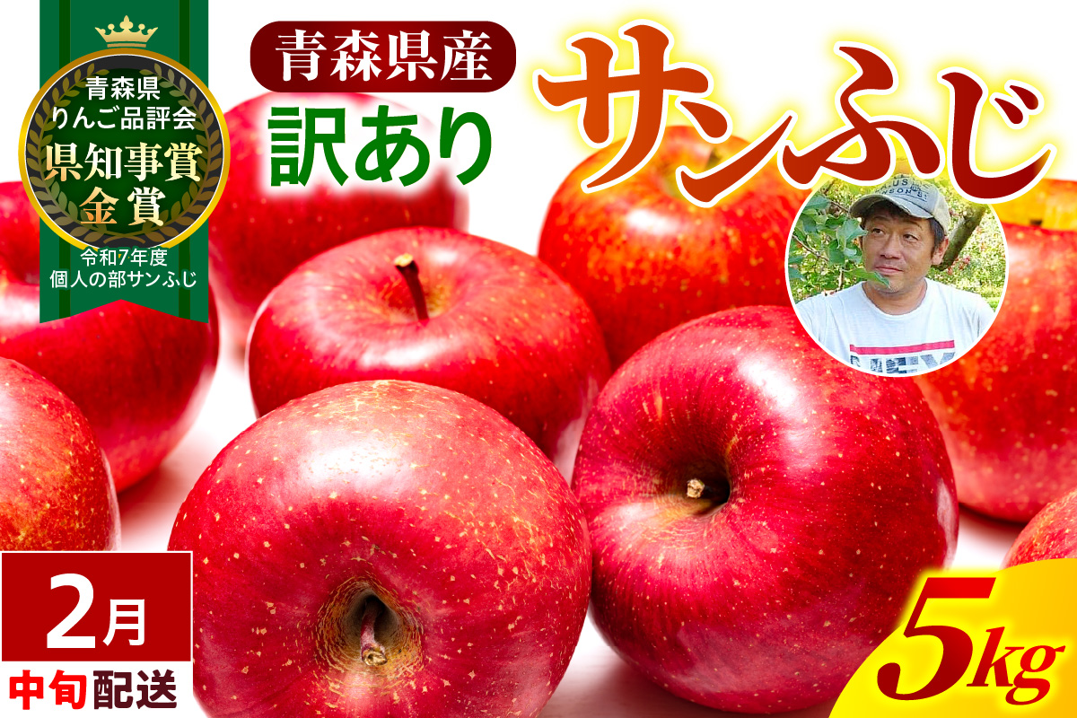 【2027年2月中旬発送】【訳あり】りんご 青森産 約5kg サンふじ