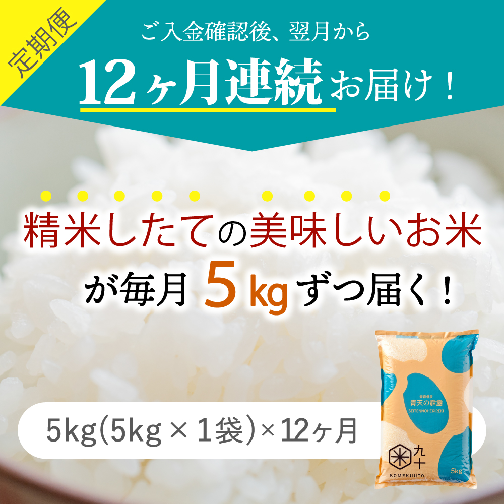 縲仙ョ壽悄萓ソ12繝カ譛医 邀ウ 髱貞、ゥ縺ョ髴ケ髱 5kg 髱呈」ョ逵檎肇 (5kgテ12蝗槭サ邊セ邀ウ)