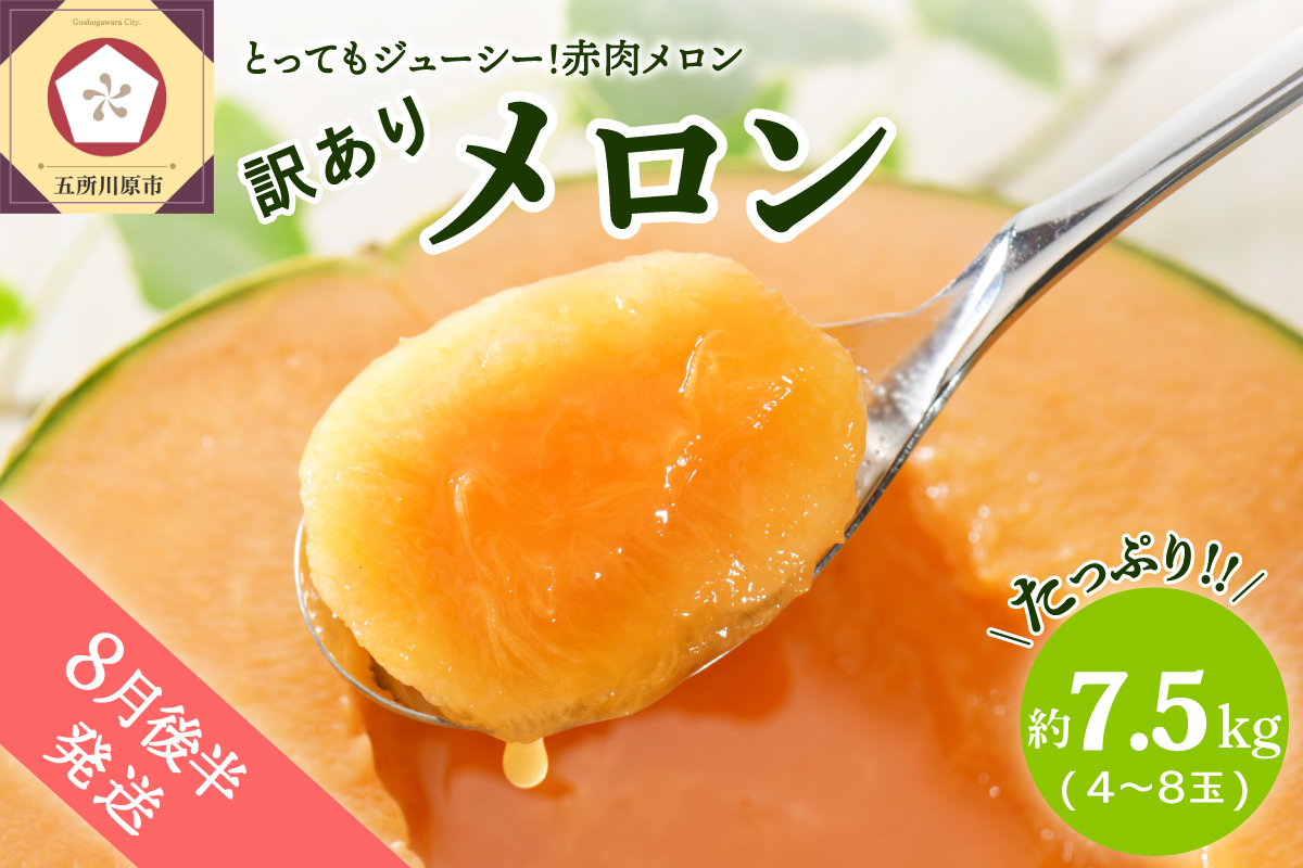 【2026年8月後半発送】【訳あり】 メロン 赤肉 7.5kg程度 (4～8玉) 青森県産
