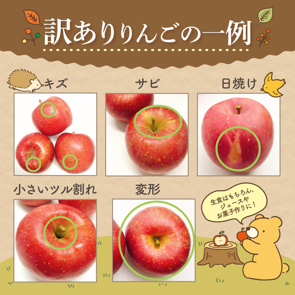 【2026年7月上旬発送】【訳あり】りんご有袋ふじ5kg(スマートフレッシュTM貯蔵又はCA貯蔵・クール便)