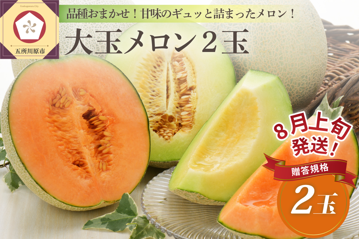 【2026年8月上旬発送】メロン2玉入り 大玉 贈答規格 青森メロン 津軽産