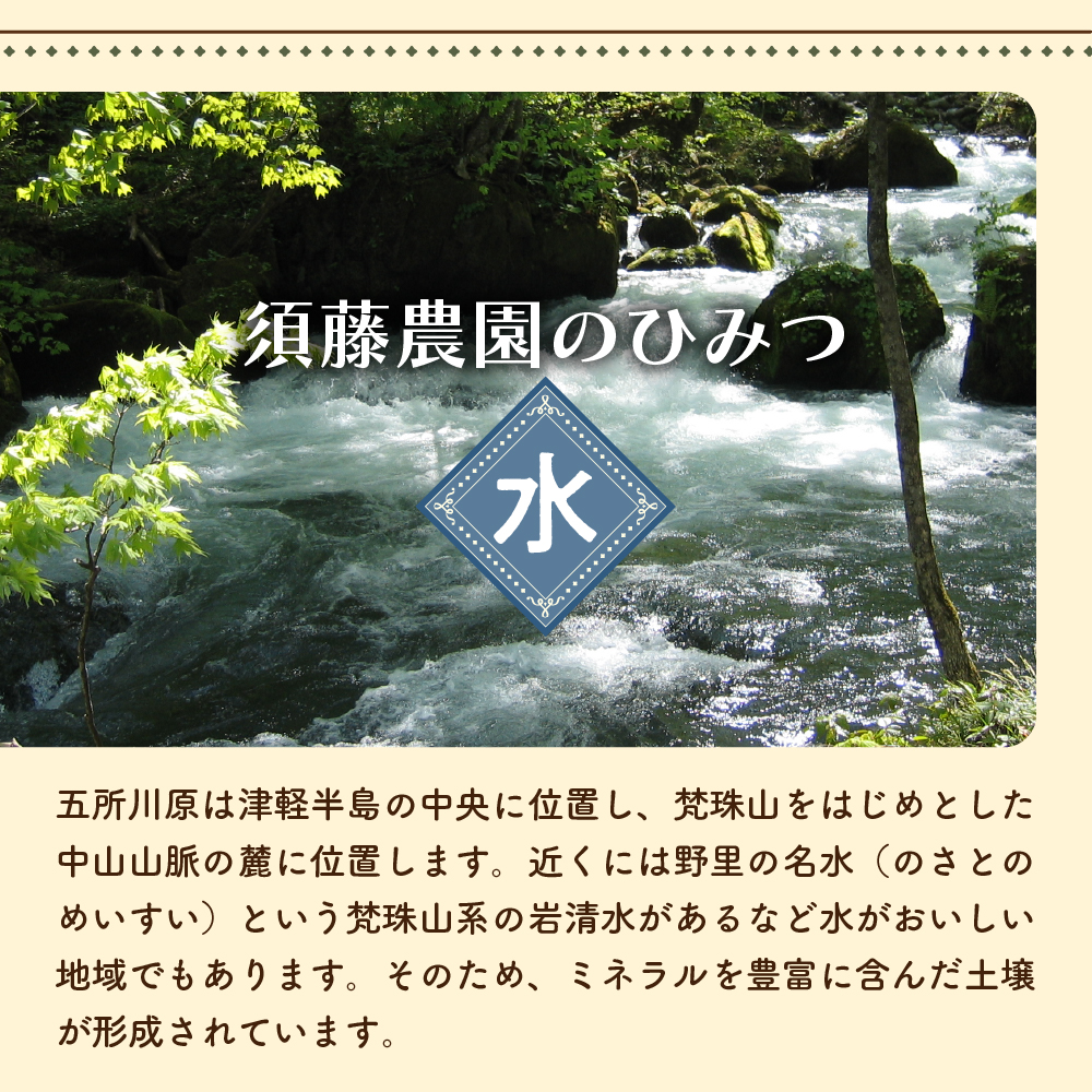 りんごジュース 森の雫 100％ ストレート (１L×3本) 須藤農園 青森県 五所川原市