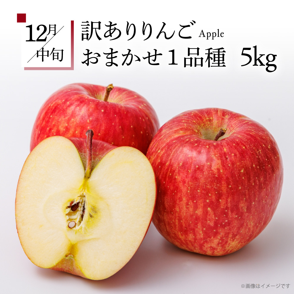 ã8æçºééå§ããã«ãŒãå®æäŸ¿ 5å ãããã¢ãªã¢ãªã»ãããèš³ãããã¡ãã³ ãã¹ã«ãã ããã