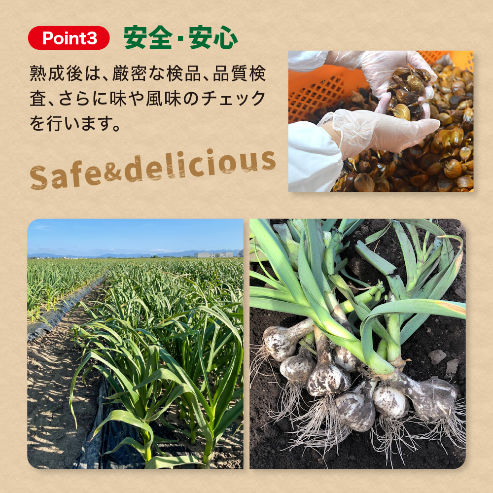 【定期便 3ヶ月】【訳あり】 青森県産 熟成 黒にんにく バラ 500g 五所川原市 青森