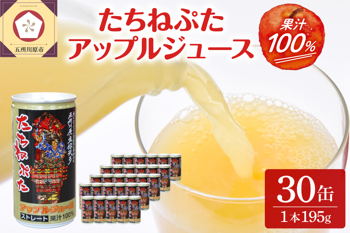 【先行受付】【2026年1月より順次発送】青森りんごジュース ストレート100％果汁 (１箱30本入) たちねぷた缶【立佞武多】缶りんごジュース