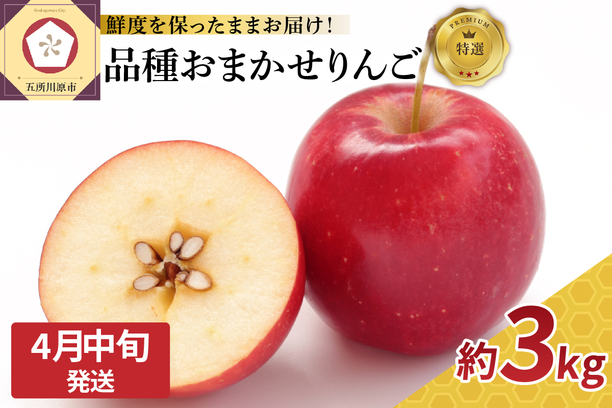 【2026年4月中旬発送】特選 丸かじり青森りんご 3kg程度 品種おまかせ1種（スマートフレッシュ貯蔵またはCA貯蔵）