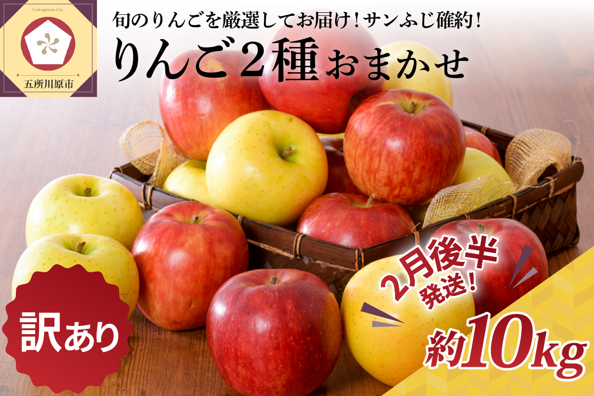 【2027年2月後半発送】 【訳あり】 りんご 約10kg サンふじ確約 青森産 品種おまかせ2種以上
