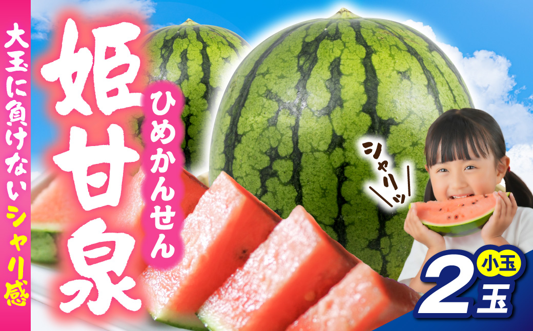 【先行受付】 小玉すいか 姫甘泉 ２玉 【7月下旬以降順次発送】 青森県 五所川原市 スイカ 西瓜 すいか