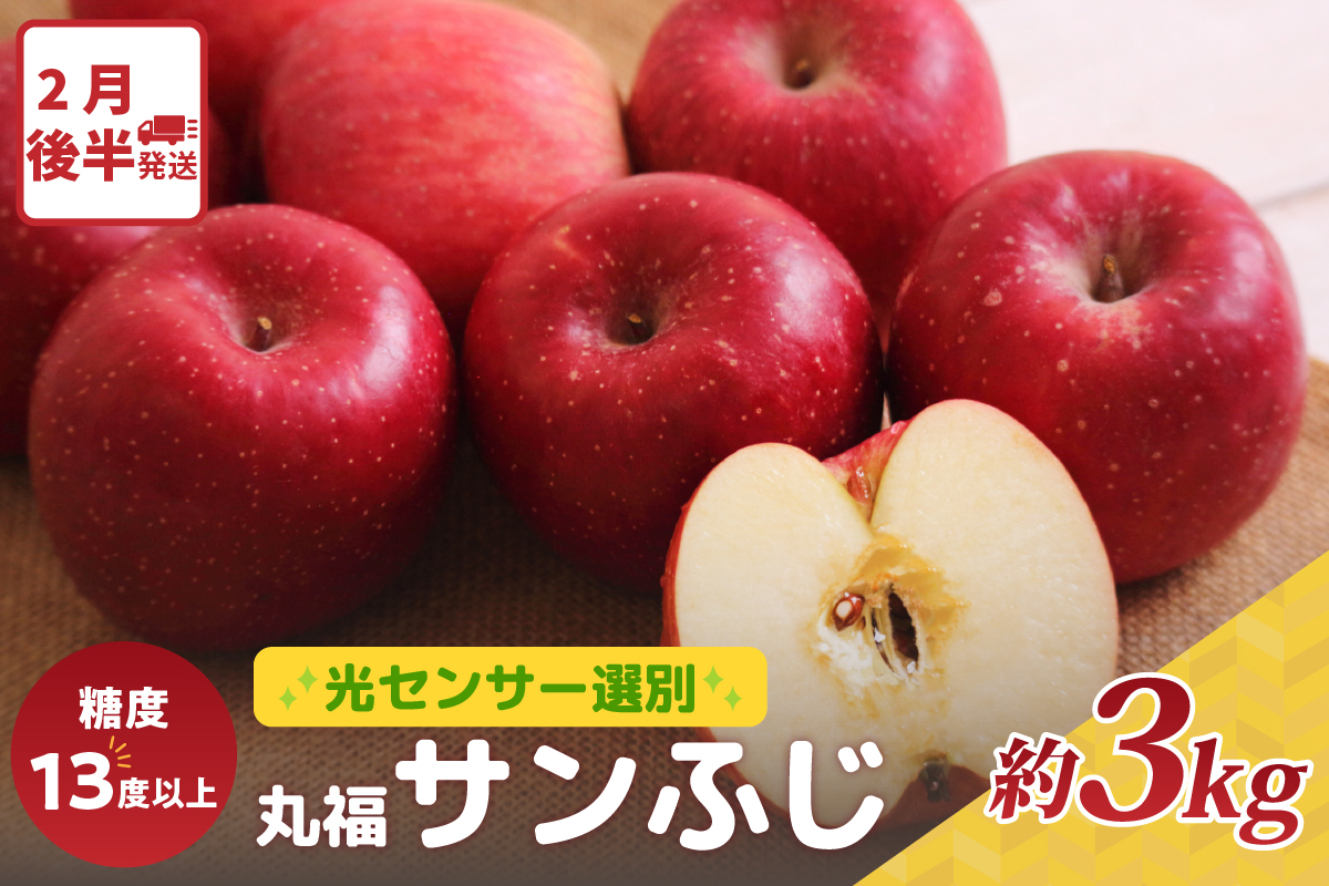 【2026年2月後半発送】 りんご 約3kg ≪丸福≫ サンふじ 【光センサー選果 糖度13度以上】 青森県産