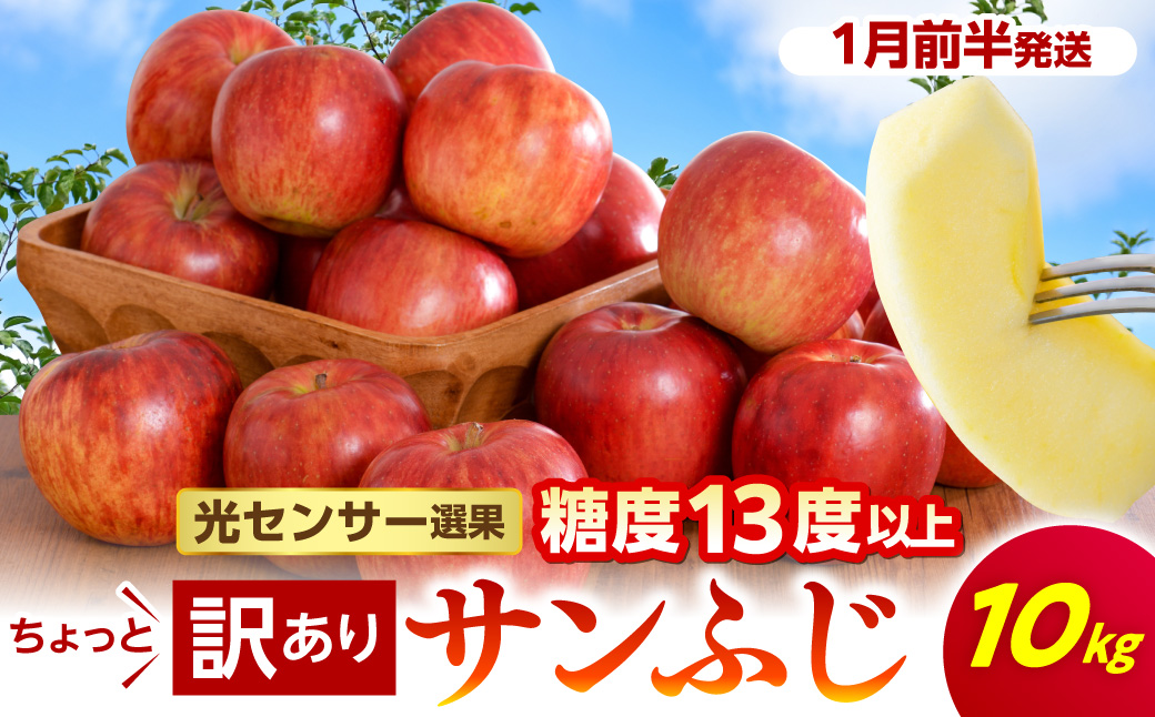 【2027年1月前半発送】りんご 約10kg サンふじ 【ちょっと訳あり】 青森県産