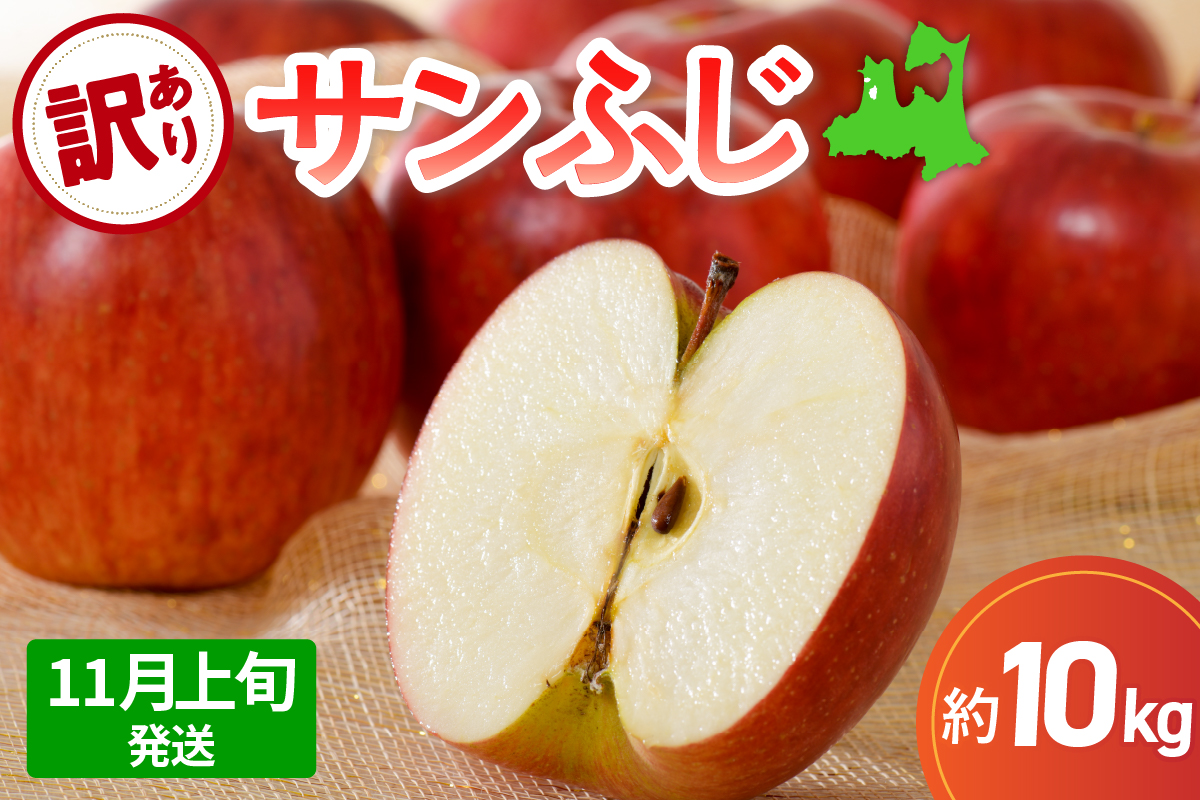 【2026年11月上旬発送】 サンふじ 青森 訳あり りんご 10kg 程度 五所川原 不揃い