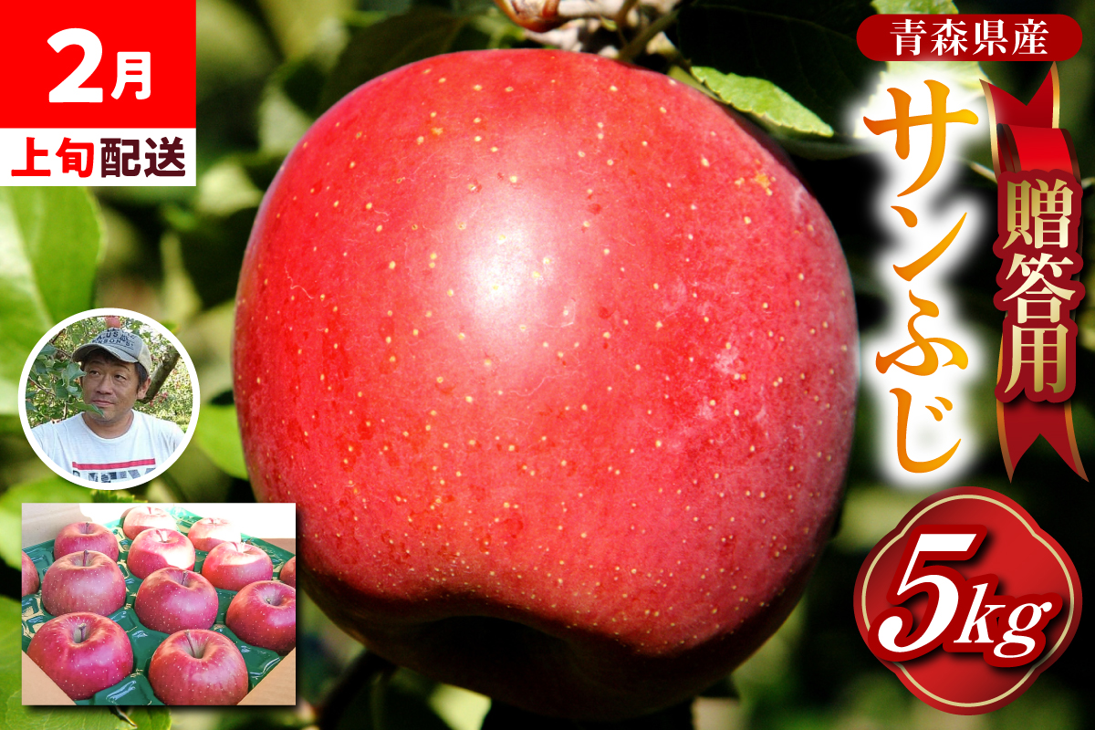 【2026年2月上旬発送】≪ 贈答用 ≫ りんご 約 5kg サンふじ りんご品評会金賞受賞歴あり！ 青森県 五所川原市