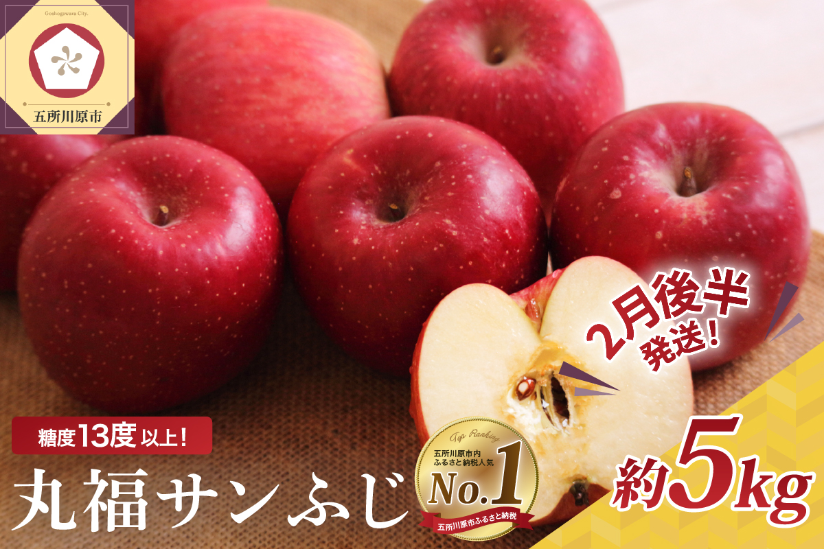 【2026年2月後半発送】 りんご 約5kg ≪丸福≫ サンふじ 【光センサー選果 糖度13度以上】 青森県産