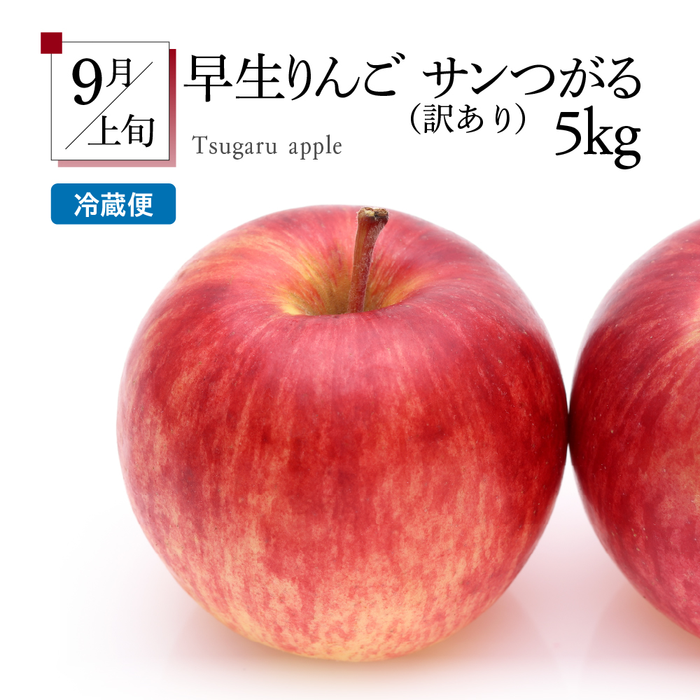 ã8æçºééå§ããã«ãŒãå®æäŸ¿ 5å ãããã¢ãªã¢ãªã»ãããèš³ãããã¡ãã³ ãã¹ã«ãã ããã