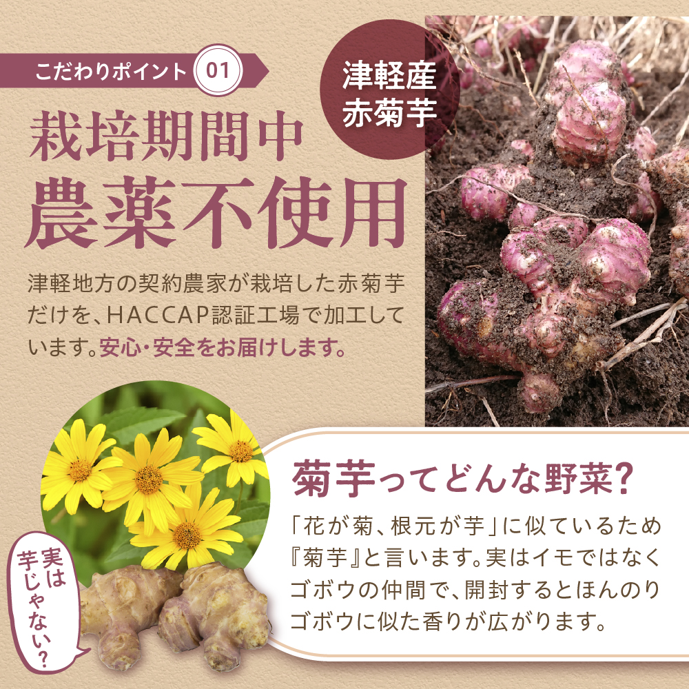 赤菊芋 パウダー 100g 【赤キクイモ粉末食品】 菊芋 キクイモ きくいも 赤キクイモ 赤きくいも