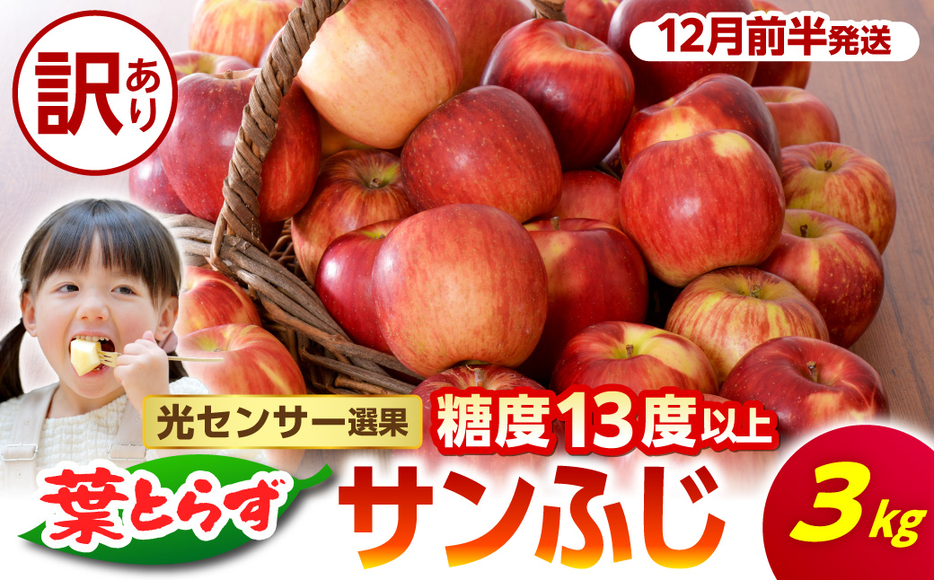 【2026年12月前半発送】【訳あり】 青森県産 葉とらず サンふじ りんご 約3kg