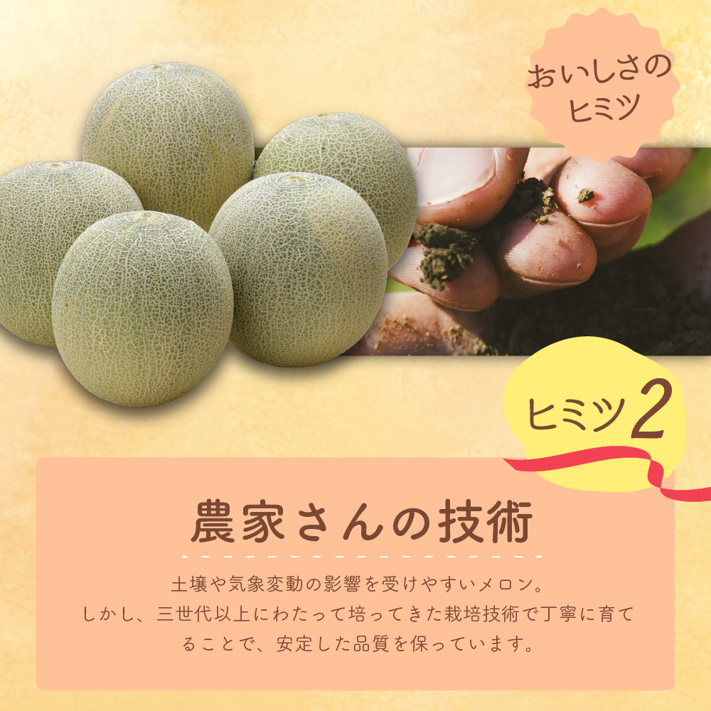【2026年8月前半発送】【訳あり】 メロン 赤肉 2玉 (2.5kg程度) 青森県産
