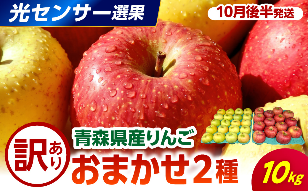 【2026年10月後半発送】 【訳あり】 りんご 約10kg 青森産 品種おまかせ2種以上