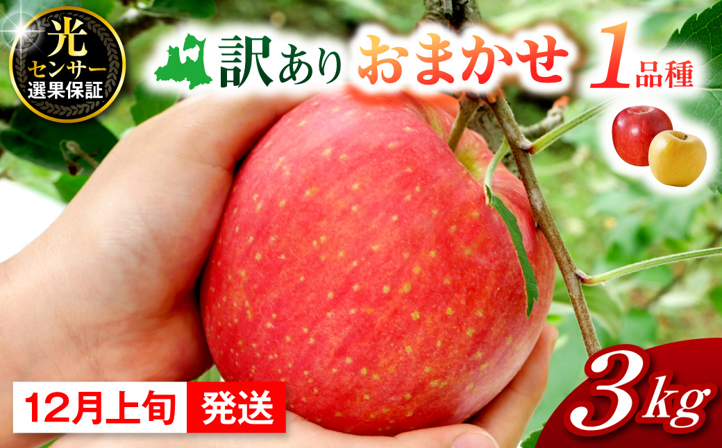 【2026年12月上旬発送】おまかせ 訳ありりんご 約 3kg 青森