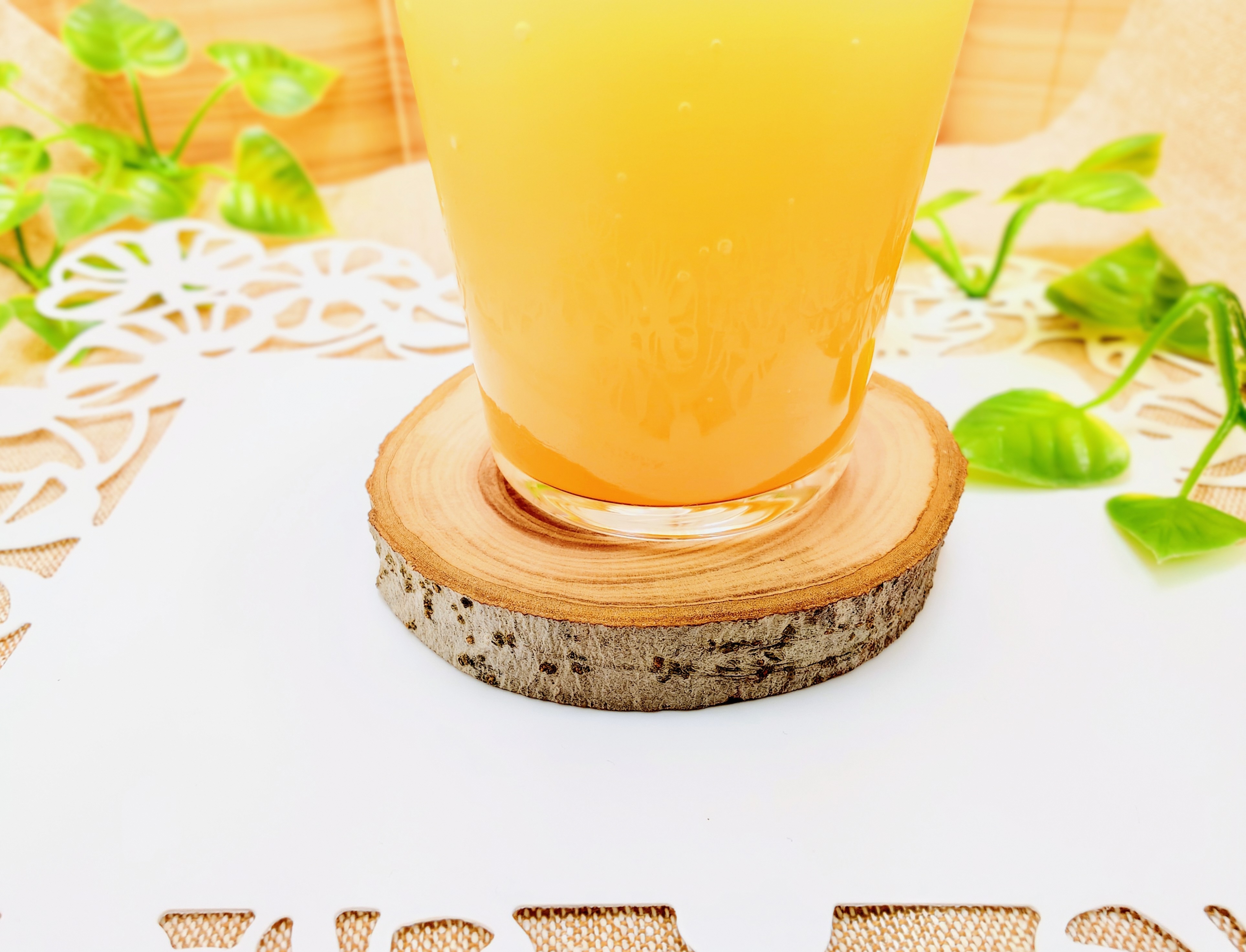 木製コースター りんご 1枚 【特製リンゴ枝コースター】 木で繋がる「きづなコースター」 青森県五所川原市