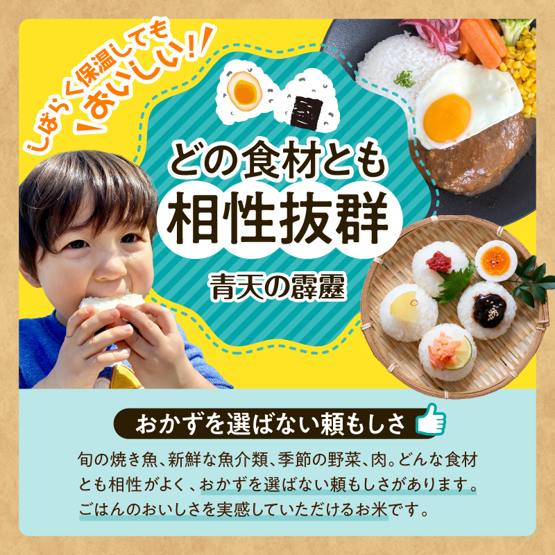 莉、蜥7蟷エ逕」 邀ウ 5kg 髱貞、ゥ縺ョ髴ケ髱 シ育イセ邀ウシ 髱呈」ョ逵檎肇 迚ケA 繝悶Λ繝ウ繝 邀ウ 縲 髱呈」ョ逵 莠疲園蟾晏次蟶 逋ス邀ウ 縺顔アウ 繧ウ繝。 縺薙a 5繧ュ繝ュ 縲
