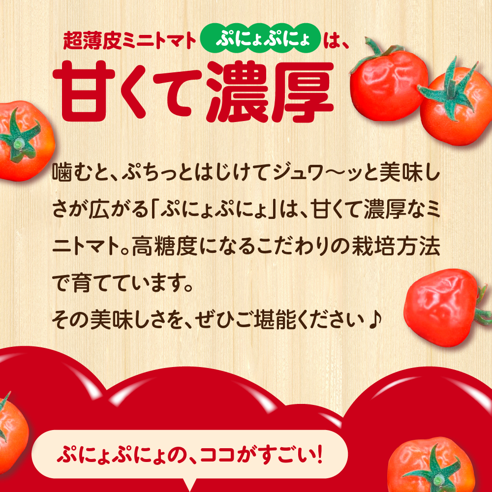 【2026年 先行受付】超薄皮 ミニトマト 約1.7ｋg 「ぷにょぷにょ」 青森 五所川原 トマト 野菜