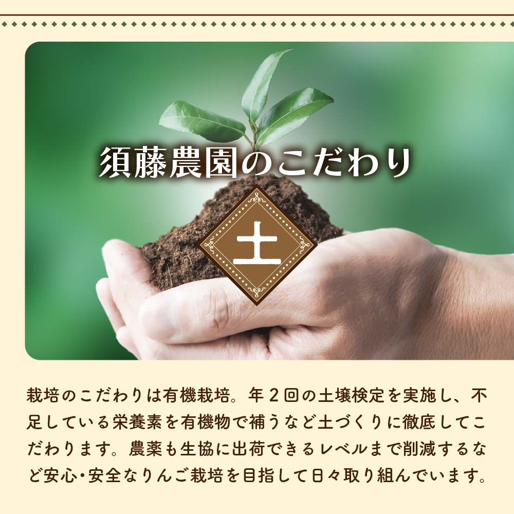 りんごジュース 森の雫 100％ ストレート (１L×3本) 須藤農園 青森県 五所川原市