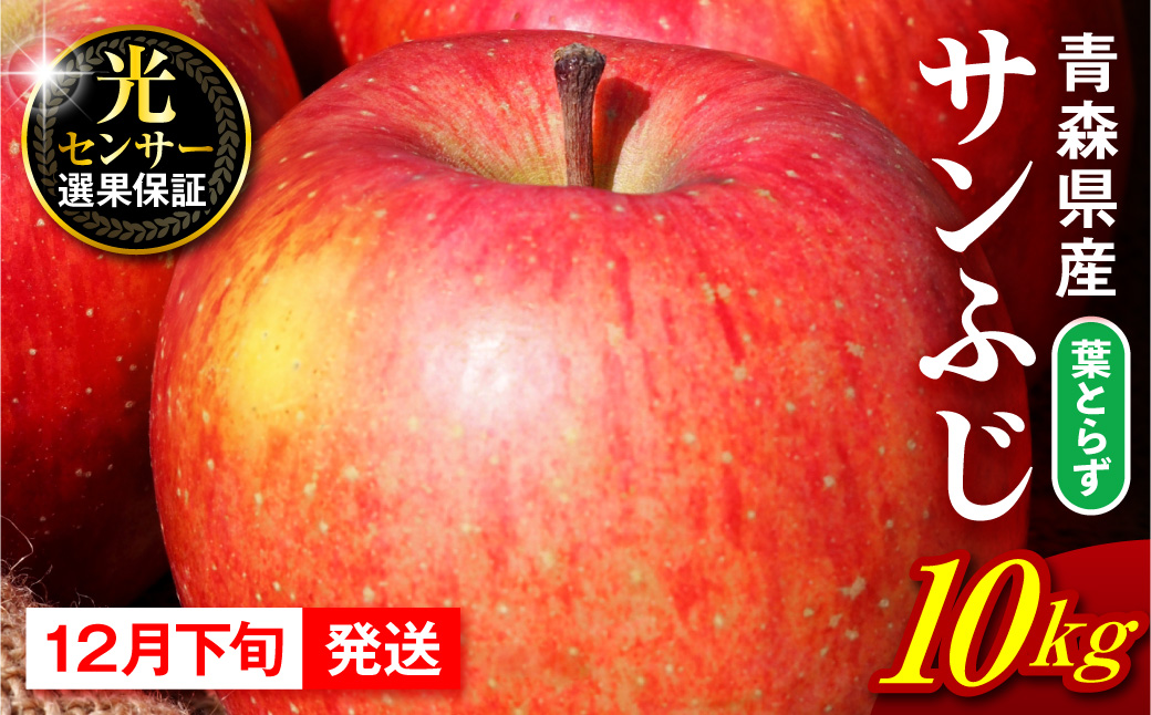 【2026年12月下旬発送】 りんご 10kg 葉とらず サンふじ 青森