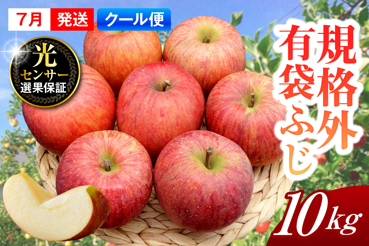 ã2026幎7æäžæ¬çºéããèŠæ Œå€ã ããã çŽ10kg æè¢ãµã ã¹ããŒããã¬ãã·ã¥â¢è²¯èµ ãŸã㯠CAè²¯èµ ãã¯ãŒã«äŸ¿ã 鿣®çç£