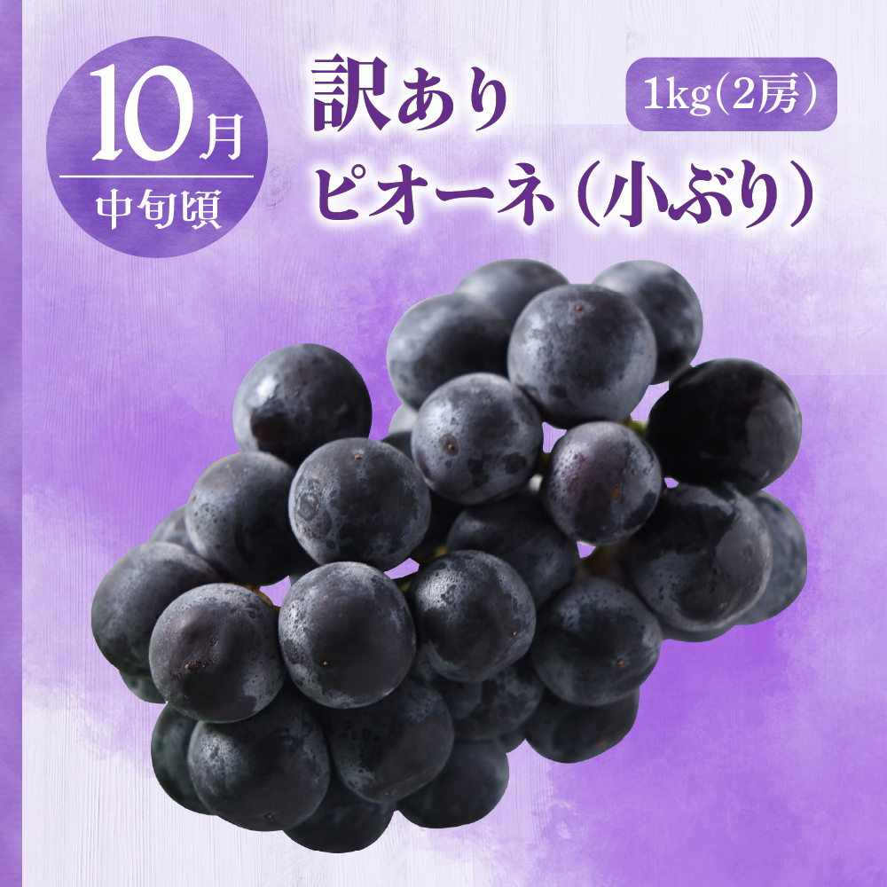 【7月発送開始】おいしい3種類 ☆ フルーツ定期便 3回【訳あり】メロン ぶどう りんご