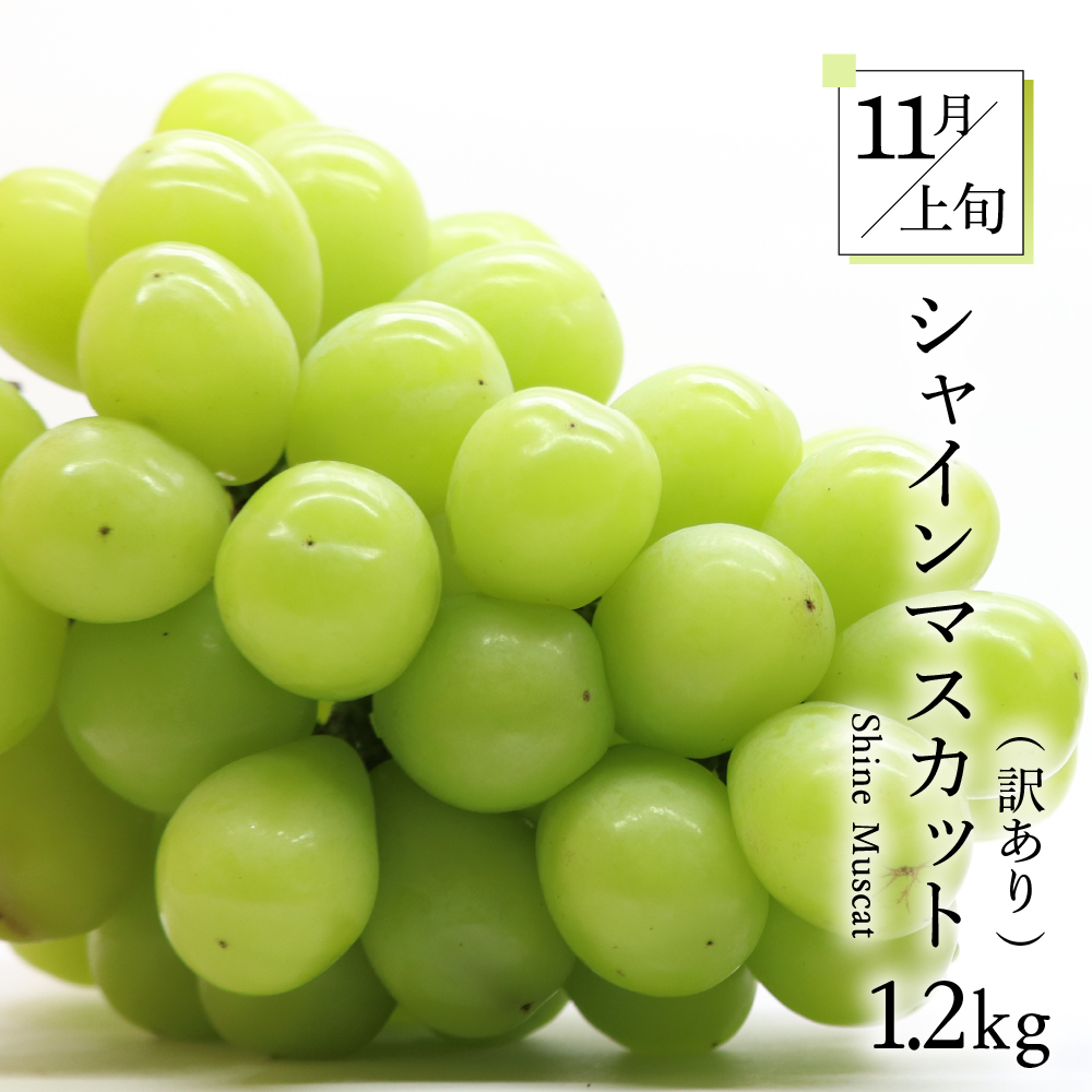 ã7æçºééå§ããã«ãŒãå®æäŸ¿ 5å é£ã¹ããã»ãããèš³ããå«ããã¡ãã³ ã¶ã©ã ãã¹ã«ãã ããã