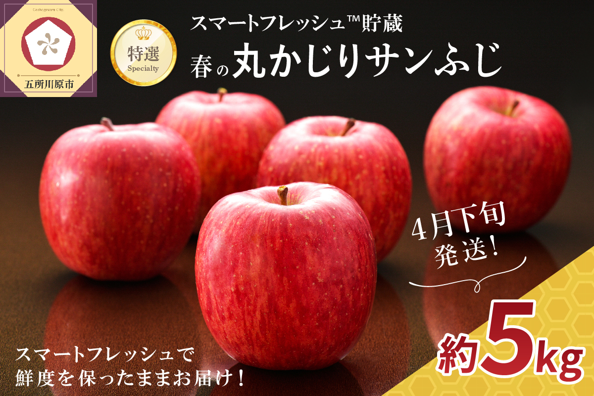 【2025年4月下旬発送】≪特選≫ 春の丸かじりサンふじ りんご 約5kg スマートフレッシュTM貯蔵 贈答用 青森県産