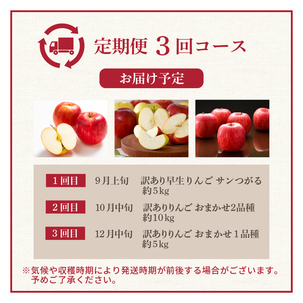 【9月発送開始】 フルーツ定期便 3回 【訳あり】 りんごづくしセット