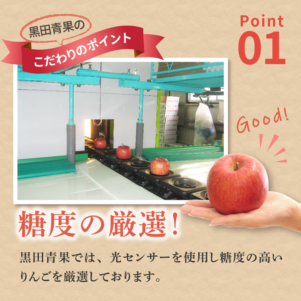 【2026年1月前半発送】【訳あり】 りんご 約10kg サンふじ 葉とらず 青森産