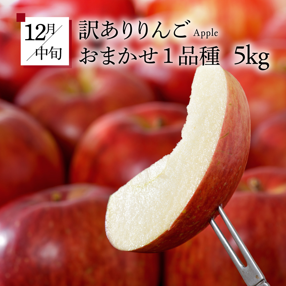 ã7æçºééå§ããã«ãŒãå®æäŸ¿ 5å ããã°ãã»ãããèš³ãããã¡ãã³ ã¶ã©ã ãã¹ã«ãã ããã