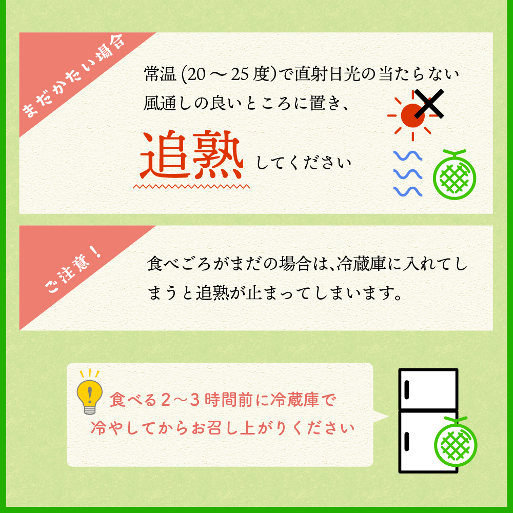 【2026年8月後半発送】【訳あり】 メロン 青肉 2玉 (約2.5kg) 青森県産