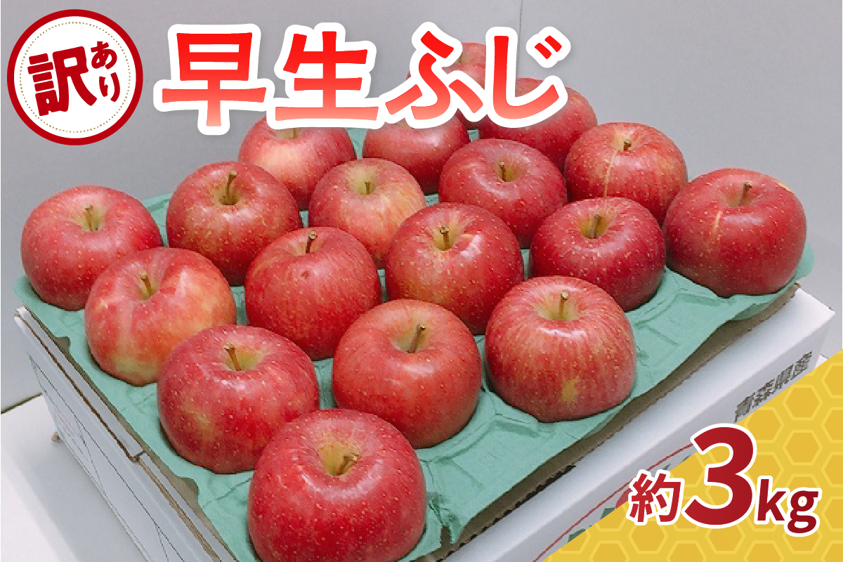 【2026年10月発送】【訳あり】 りんご 約3kg  早生ふじ 青森県産