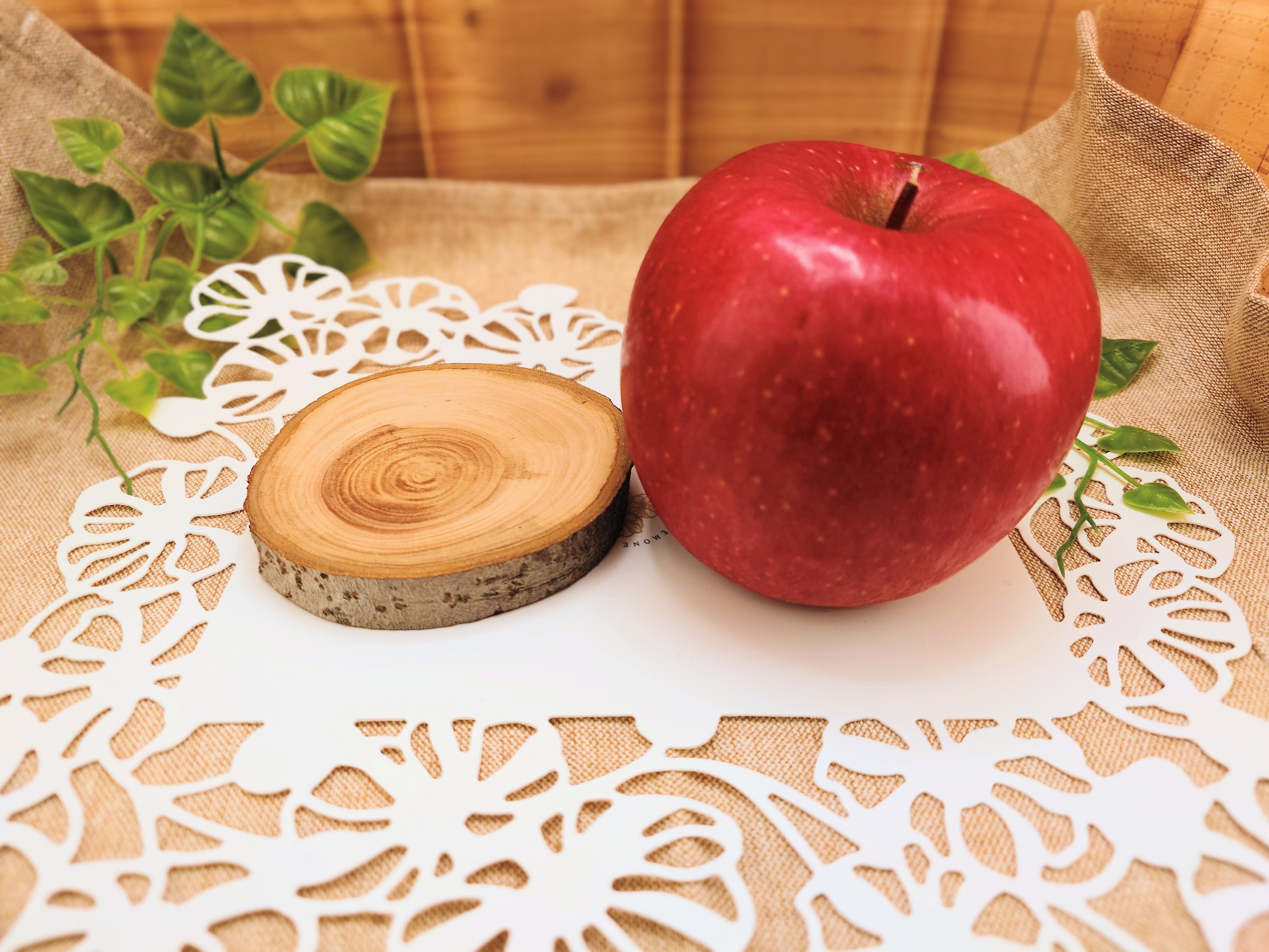 木製コースター りんご 1枚 【特製リンゴ枝コースター】 木で繋がる「きづなコースター」 青森県五所川原市