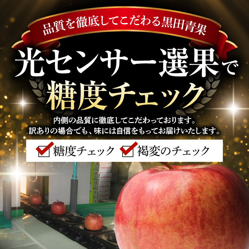 【2026年11月後半発送】【訳あり】 りんご 約10kg サンふじ 葉とらず 青森産