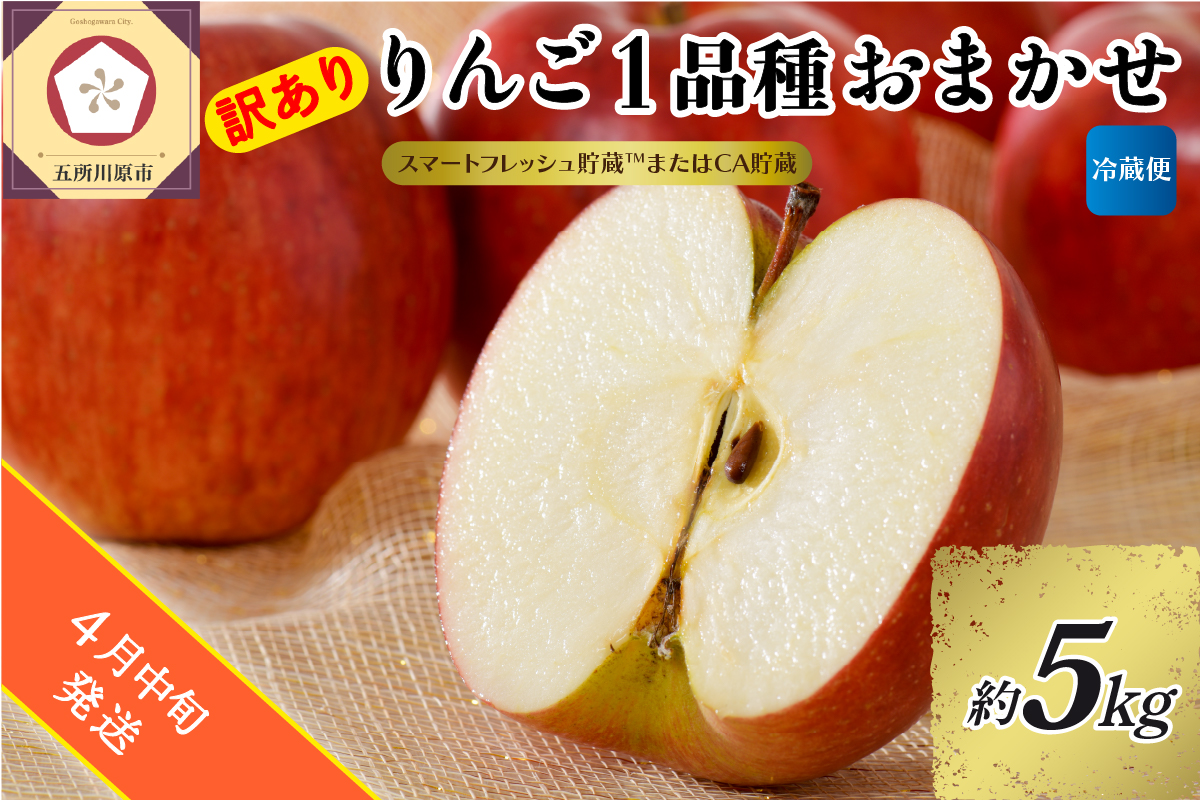 【2026年4月中旬発送】【訳あり】りんご 約5kg 青森産 【おまかせ1品種】【スマートフレッシュ貯蔵またはCA貯蔵・クール便】