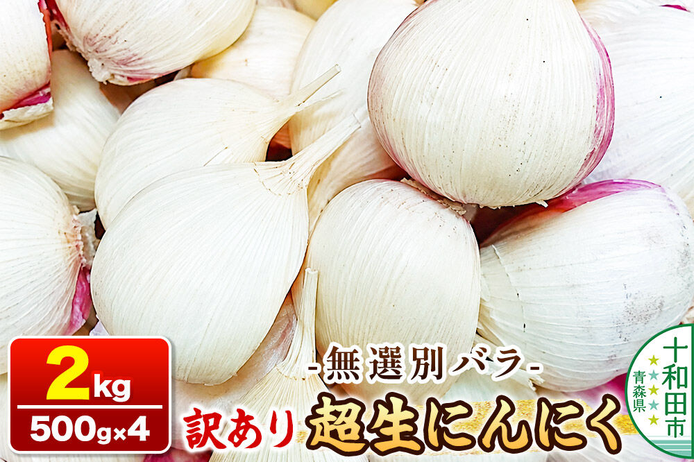 訳あり 超生にんにく 無選別バラ2kg（500g×4） 青森県産 [稀少 ニンニク 直送 高糖度 甘い]