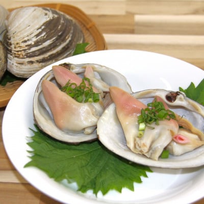 砂取りホッキ貝(加熱用)　10個(5入×2袋)【配送不可地域：離島】【1676080】