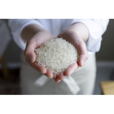 【毎月定期便】青森県産　まっしぐら　白米10kg全3回【4076020】