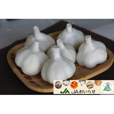 【JAおいらせ】青森県三沢市産　おいらせ匠にんにく【1700012】