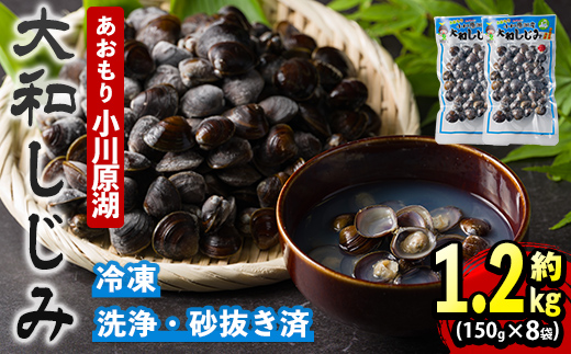 小川原湖産 大和しじみ (冷凍) (150g×8P) 小川原湖 しじみ 冷凍しじみ しじみ貝 国産 青森県産 しじみ汁 冷凍保存 冷凍食品 貝類 【小川原湖漁業協同組合】【ms18-01】