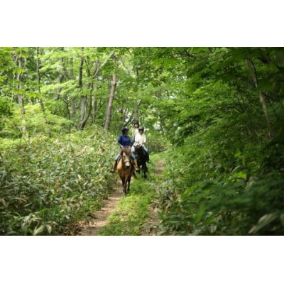 青森県三沢市　乗馬トレッキング(小川原湖トレイル)1名様120分【1681399】