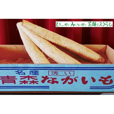 【JAおいらせ】青森県三沢市産　長いも　5kg【配送不可地域：離島】【1699997】