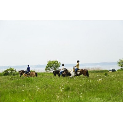 青森県三沢市　乗馬トレッキング(小川原湖トレイル)1名様120分【1681399】